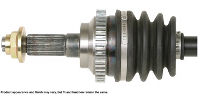 66-8100