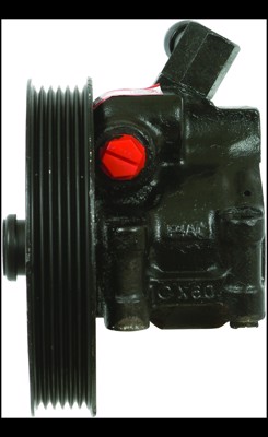 20-313P1