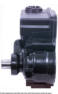 20-55895