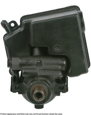 20-55994