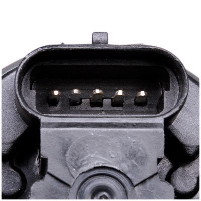 EG10031
