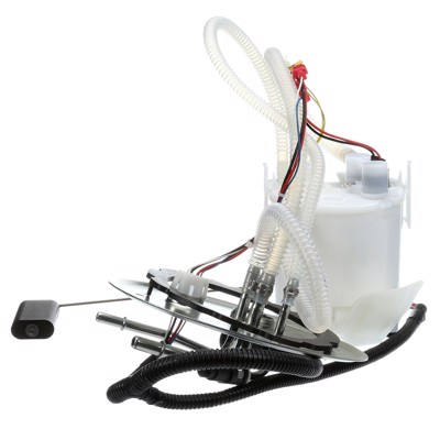 FG0365