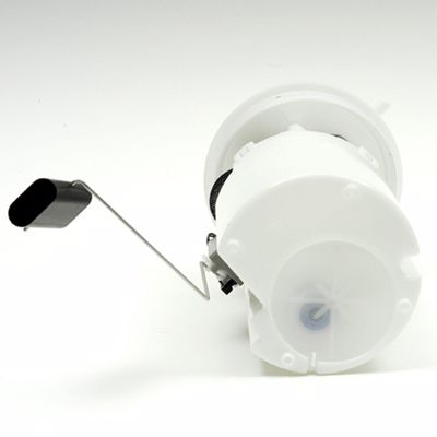 FG0373