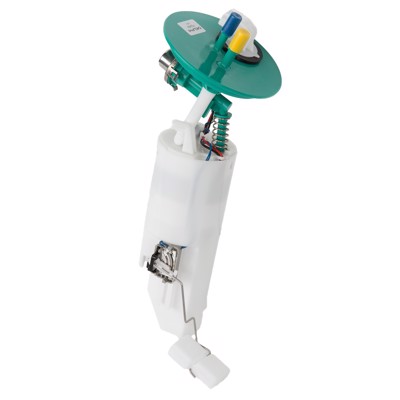 FG0484