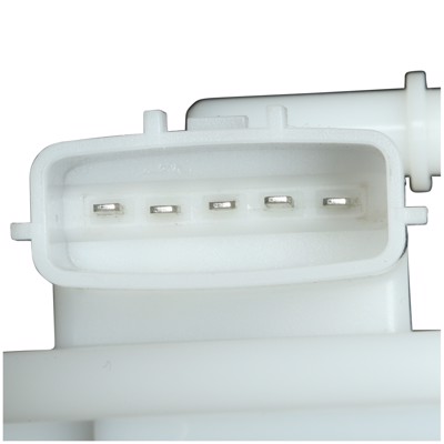 FG1146