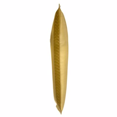FS0010