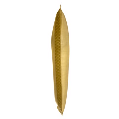 FS0010