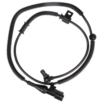 SS11651