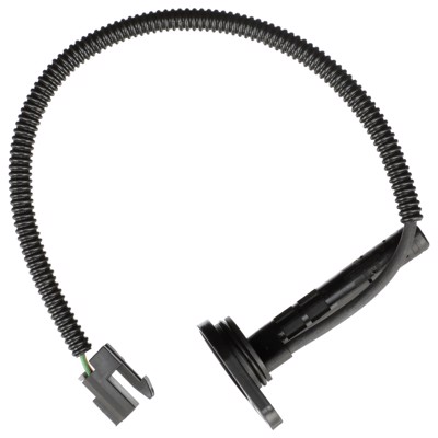 SS11856