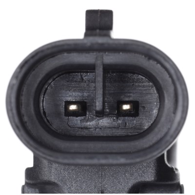 SS20658