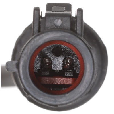 SS20896