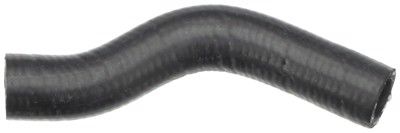 19035