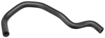 19043