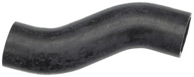 20685