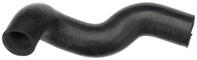 21094