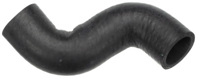 21366