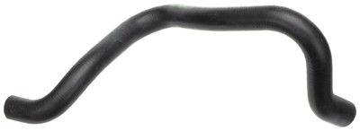 21519