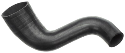 21590
