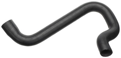 21631