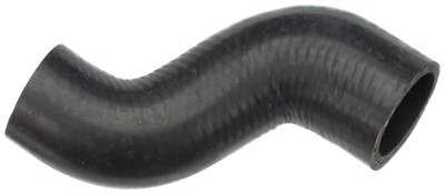 21667