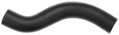 23251