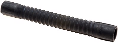 25254