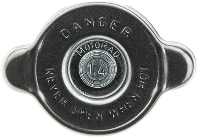 31564