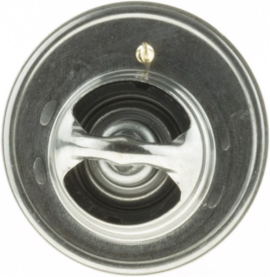 33569S
