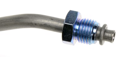 365648
