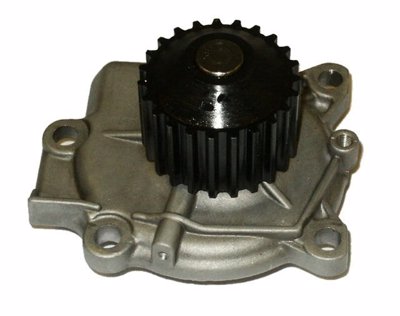 41054