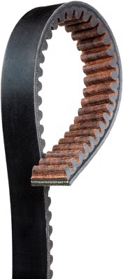 6098