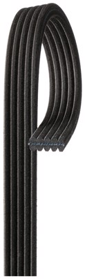 DK050610