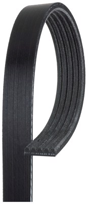 K050365