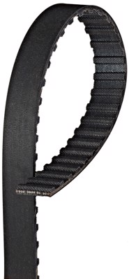 T061