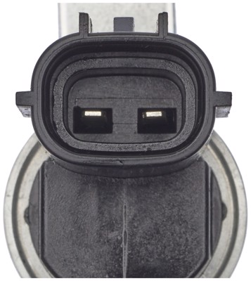 VVS219
