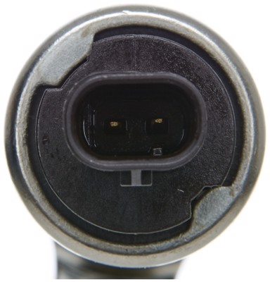 VVS239