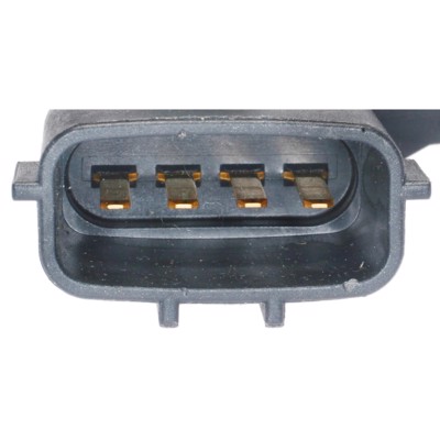 AS415