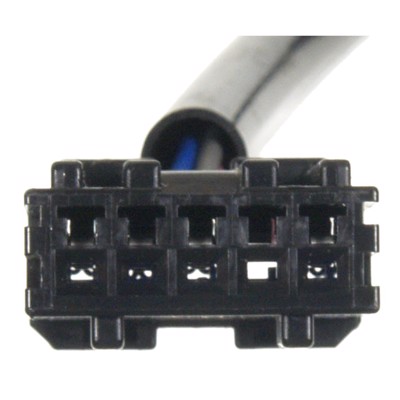 CBS-1262