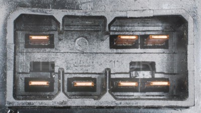 CBS-1559