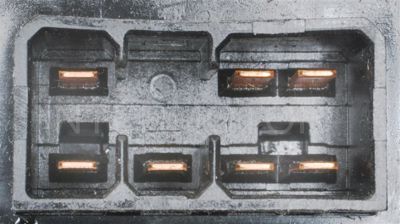 CBS-1559