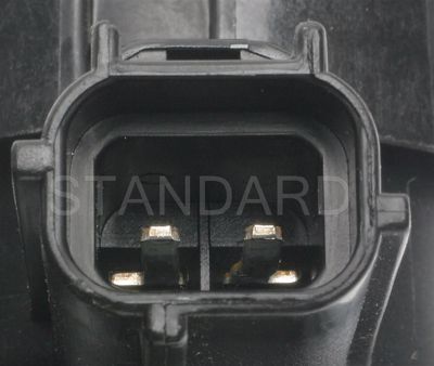 CP313