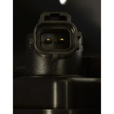 CP3636