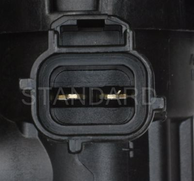 CP519
