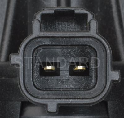 CP555