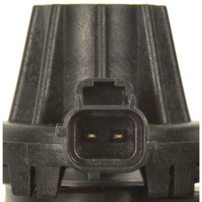 CP556