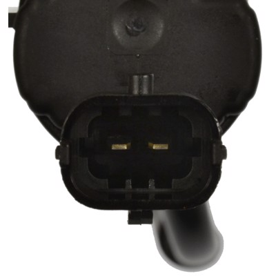 CP859