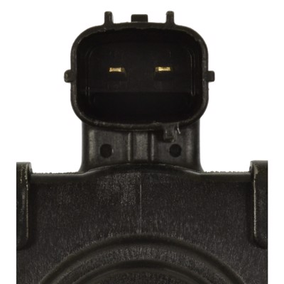 CVS177