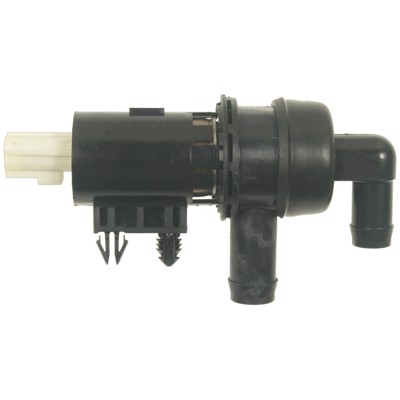 CVS31