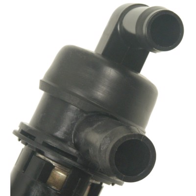 CVS31
