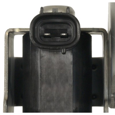 CVS65